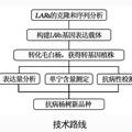 杨树单宁合成途径中关键酶基因LARs的克隆及功能解析