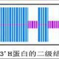 白菜、甘蓝中决定花色等重要性状的F3'H基因的克隆与分析