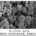 一种具有减肥降脂功效的壳聚糖纳米粒发明