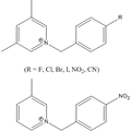 基于Ni(dmit)2分子自旋梯材料的制备和构效关系研究