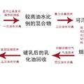 广域水面泄漏原油的收集与处理一体化装置