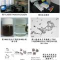 新型磁性纳米载体跨血脊髓屏障靶向定位的实验研究