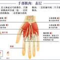 地震救援机械手套