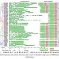 水稻ABCB转运蛋白基因的分子进化和表达分析