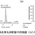 杀虫剂啶虫脒影响雄性小鼠生殖功能的研究