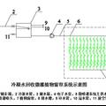 冷凝水回收微灌天然植物窗帘遮阳技术