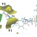 基于计算机模拟技术的新型抗肿瘤药物分子的发现