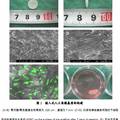 植入式人工角膜基质及其制备方法