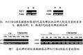 谷胱甘肽转移酶SlGSTu1在斜纹夜蛾毒死蜱抗性作用的研究