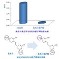 废弃桑枝中新型皮肤美白因子——桑皮苷与氧化白藜芦醇的提取分离与开发利用研究