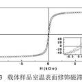 超顺磁性纳米尺度离子吸附固定化酶载体的制备