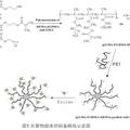 超顺磁性纳米尺度离子吸附固定化酶载体的制备