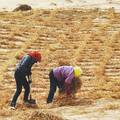 黄河流域宁夏段水资源保护生态补偿立法建议书