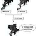 美国白蛾入侵危害评估及治理决策模型