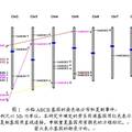 水稻ABCB转运蛋白基因的分子进化和表达分析