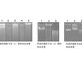 重组农杆菌质粒快速鉴定方法