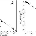 癌胚抗原及葡萄糖超灵敏纳米电化学传感器研究